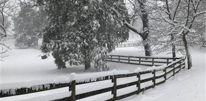 Forsyth County facilities closed Jan. 31 due to inclement weather