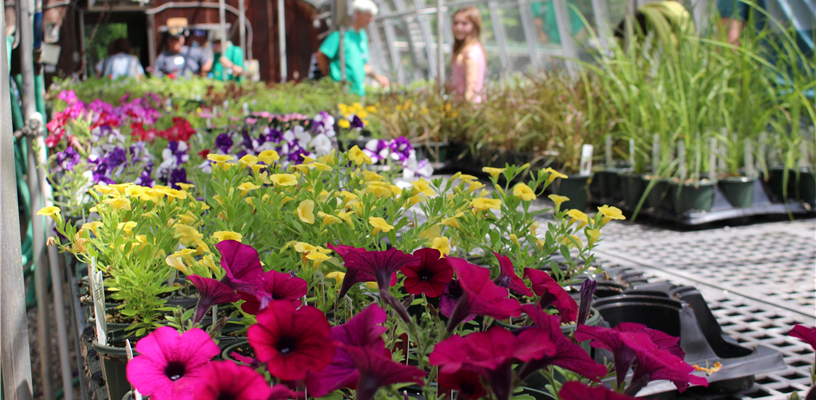 Spring 2025 Plant Sale at the Arboretum at Tanglewood Park